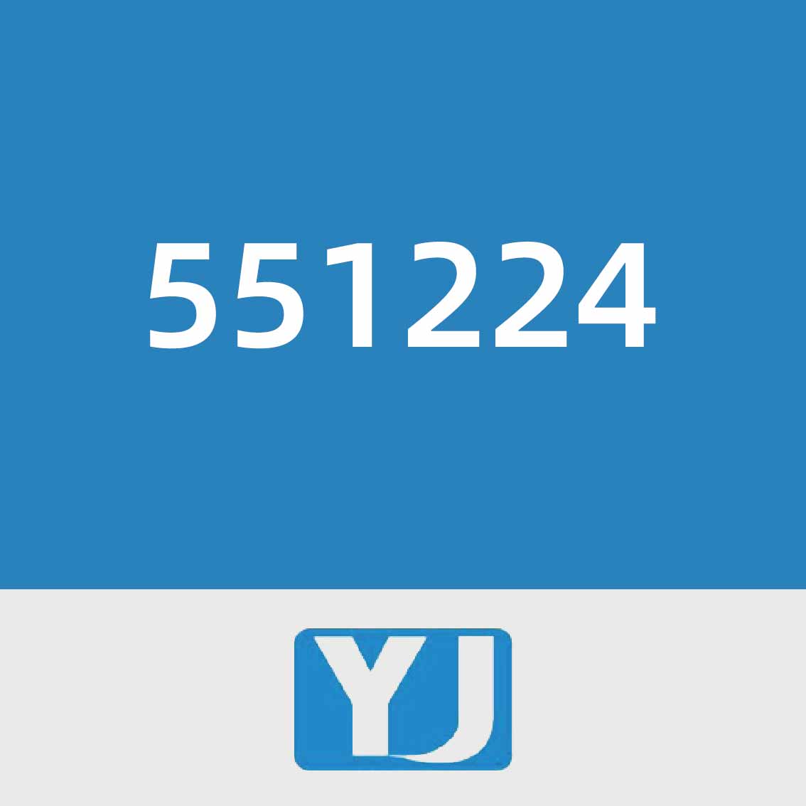 言九电子551224​