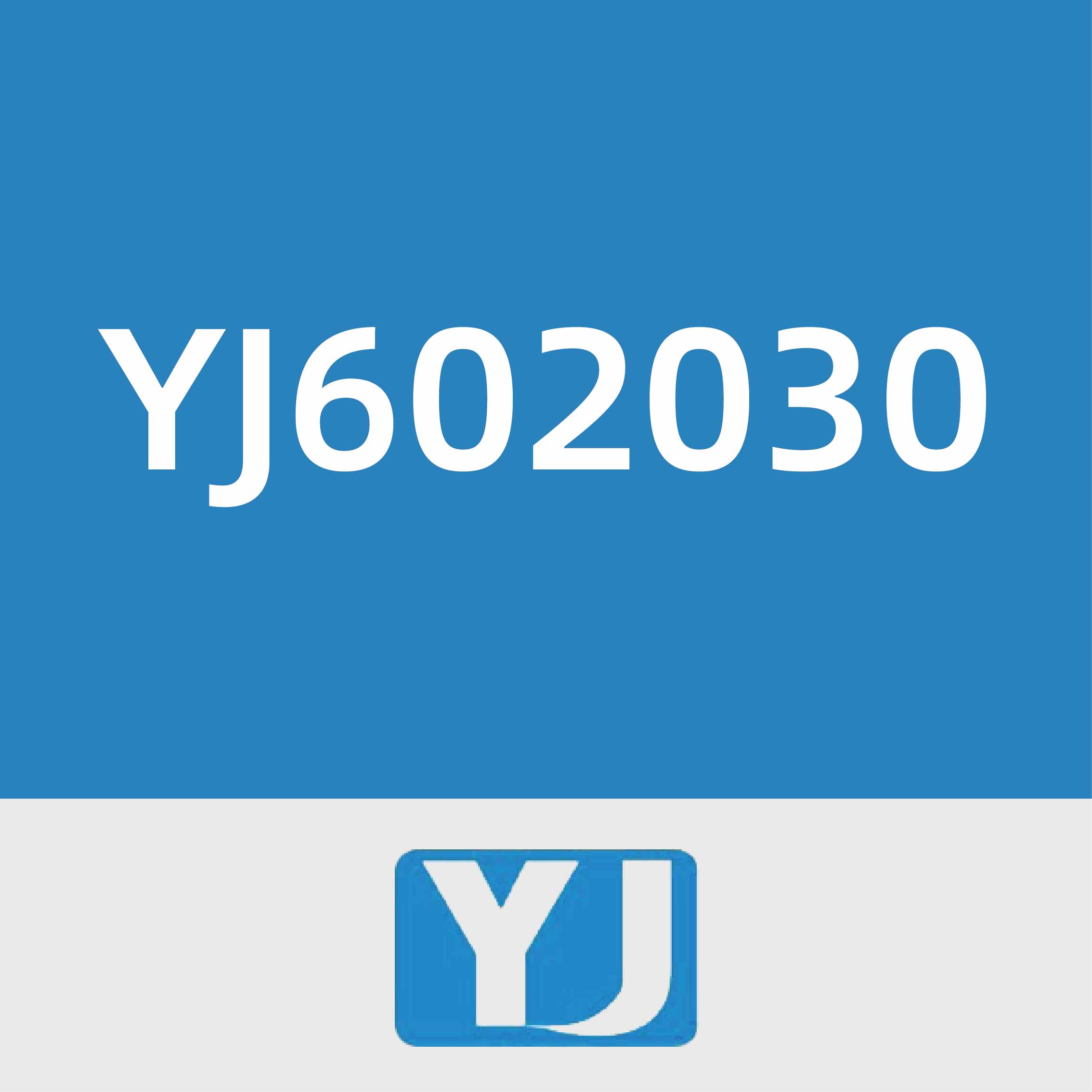 言九电子YJ602030