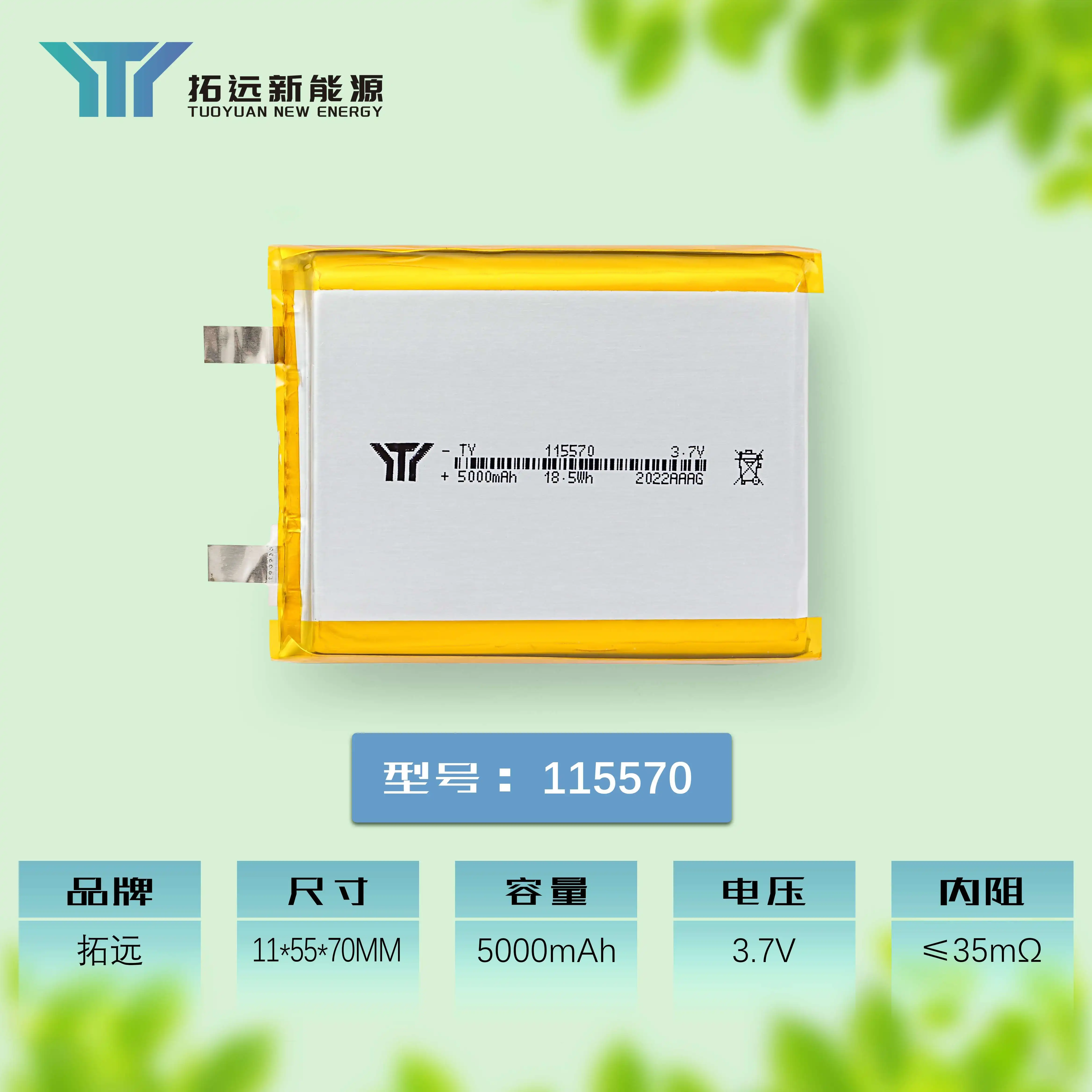 115570.webp"