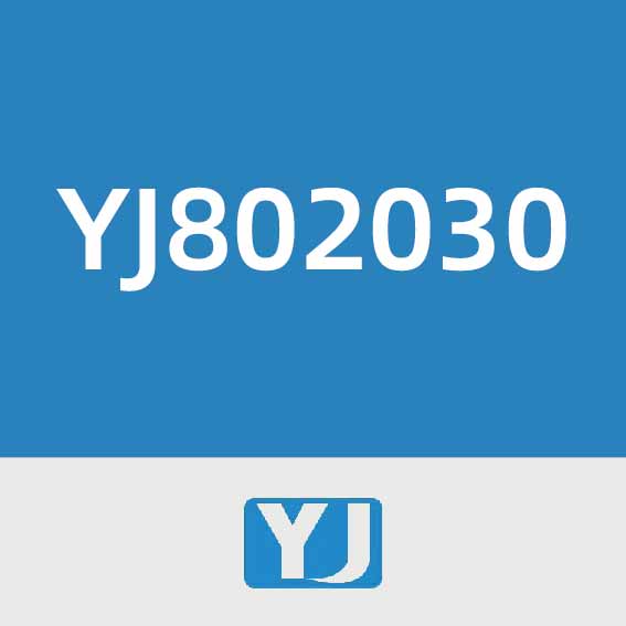 言九电子YJ802030