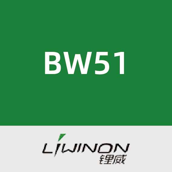 锂威新能源BW51