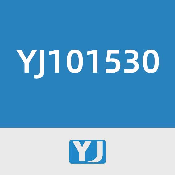 言九电子YJ101530