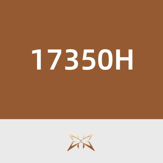 固芯能源17350H