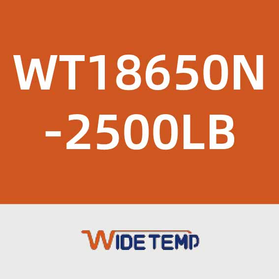 中科瑞能WT18650N-2500LB