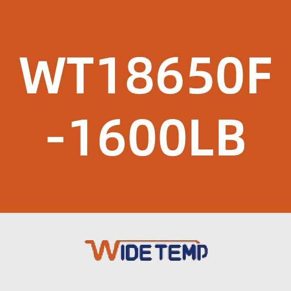 中科瑞能WT18650F-1600LB