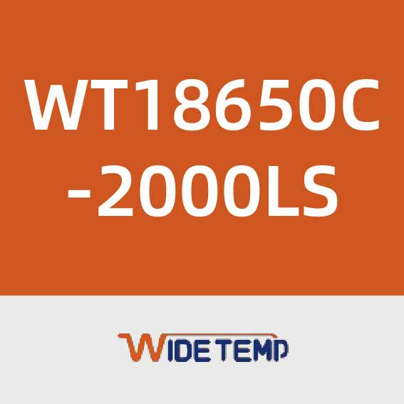 中科瑞能WT18650C-2000LS